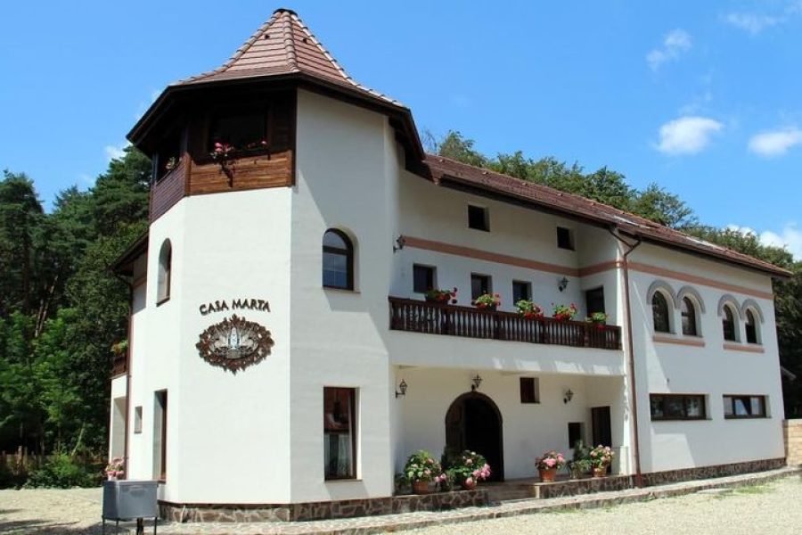 121705734_1424196201119847_3014734295008533504_n