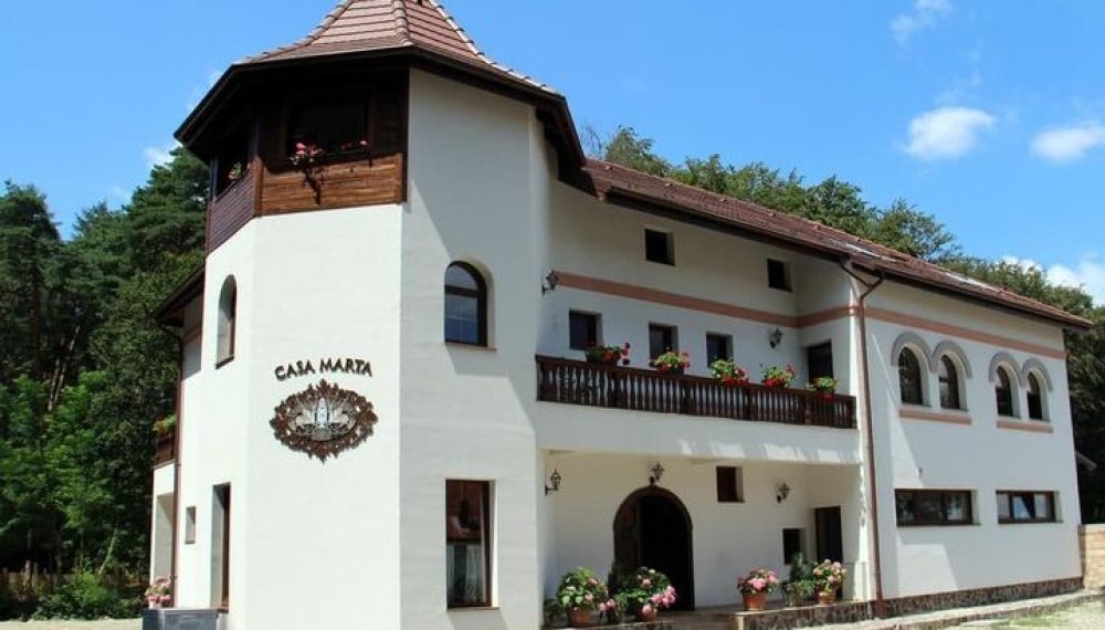 121705734_1424196201119847_3014734295008533504_n