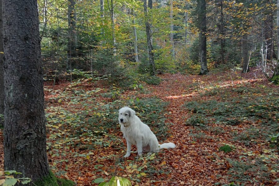 WhatsApp Image 2024-04-10 at 13.16.37