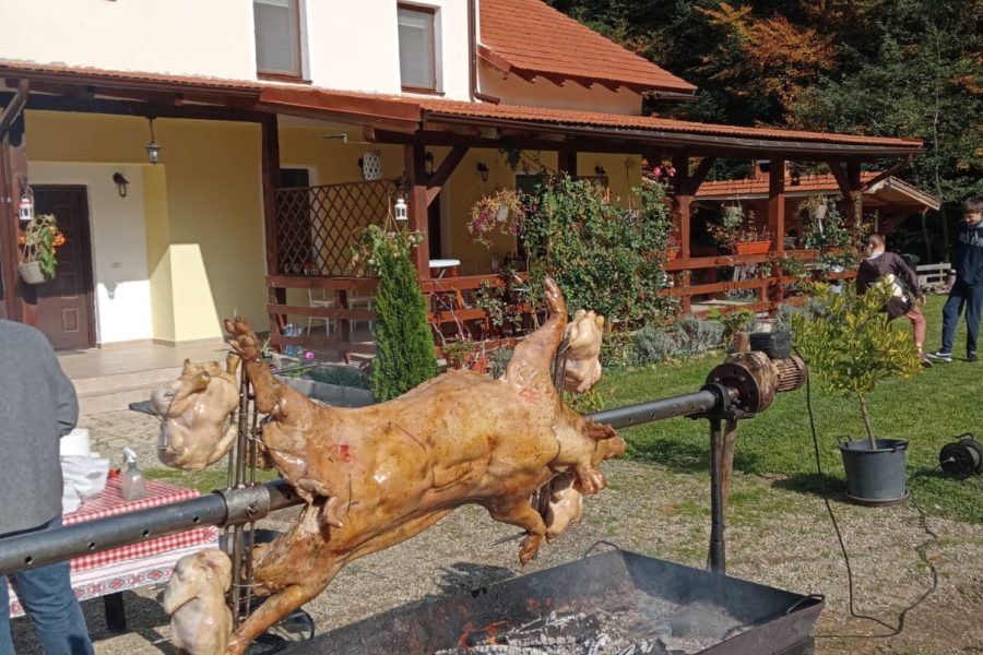 WhatsApp Image 2024-04-10 at 13.16.38 (1)