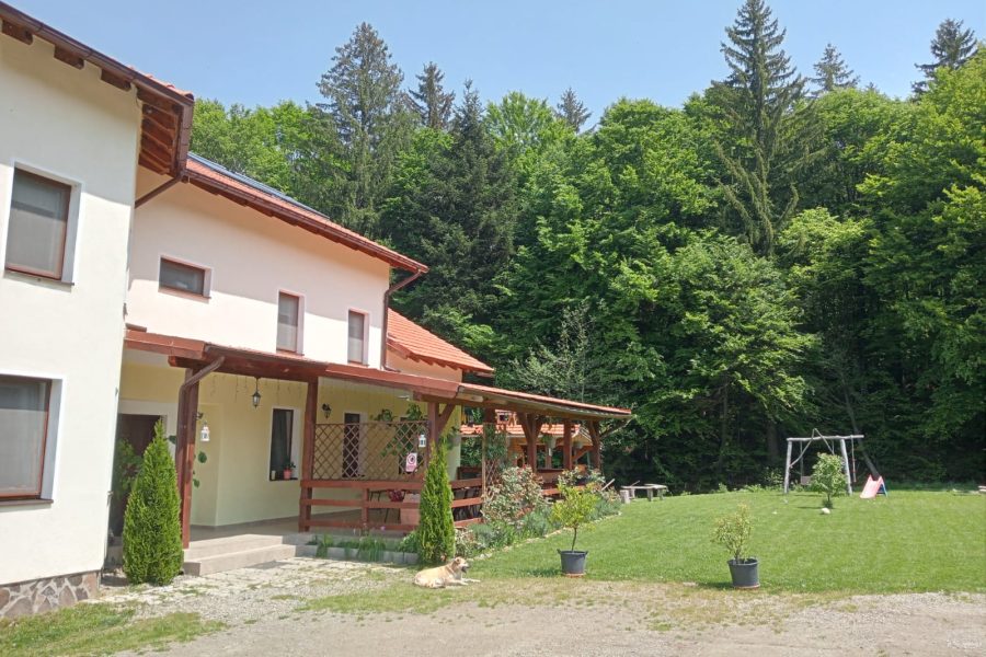 WhatsApp Image 2024-04-10 at 13.16.39 (3)